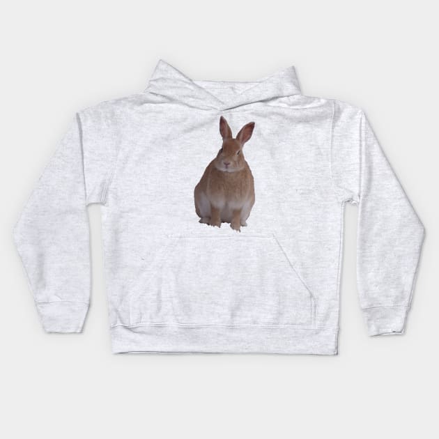 Bunny Kids Hoodie by wendylegeret